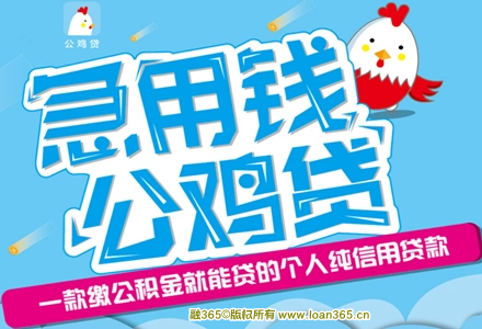 杭州银行公鸡贷