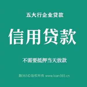 五大行企业信用贷款
