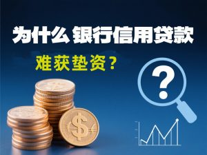 银行信用贷款垫资